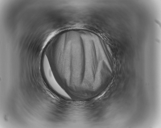 X0000094950056200712271706