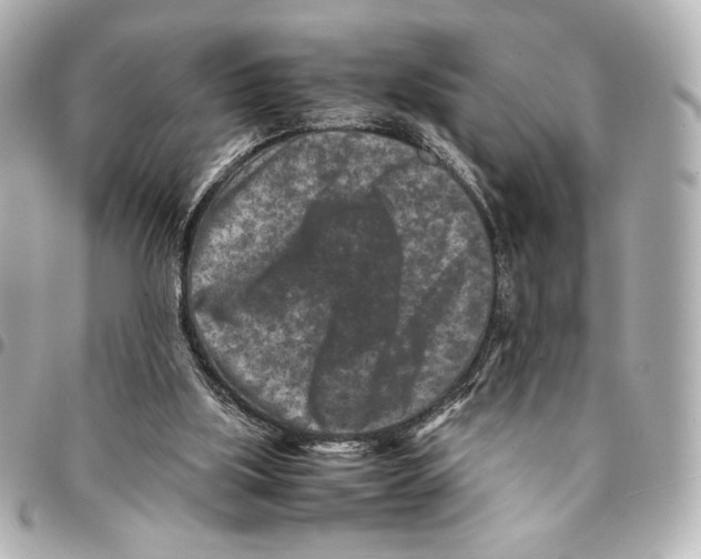 X0000094950059200712271707