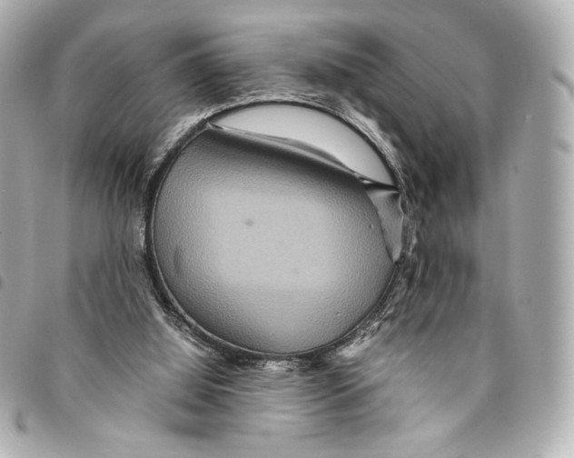 X0000094950060200712271707