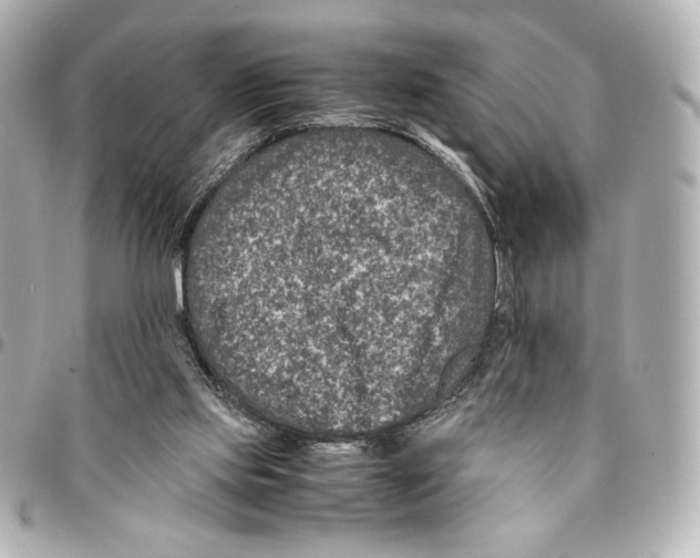 X0000094950061200712271707