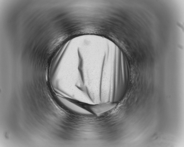 X0000094950062200712271707