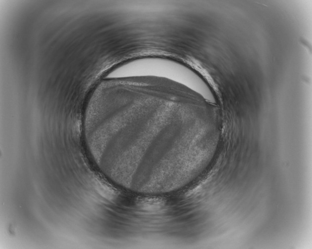 X0000094950063200712271707