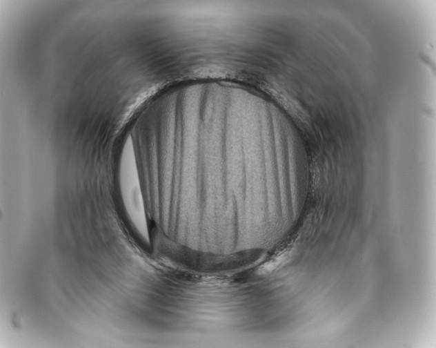 X0000094950064200712271707