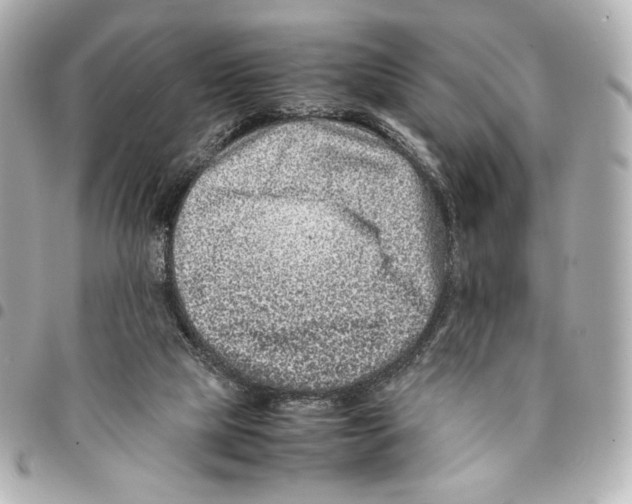 X0000094950065200712271707