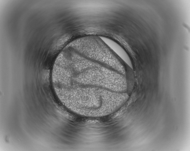 X0000094950066200712271707