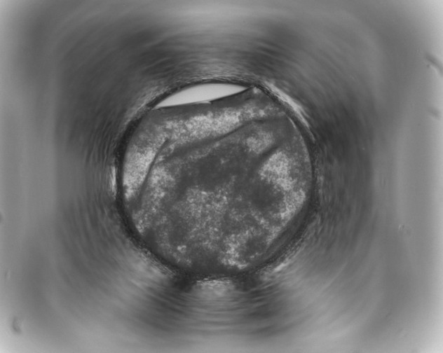 X0000094950067200712271707