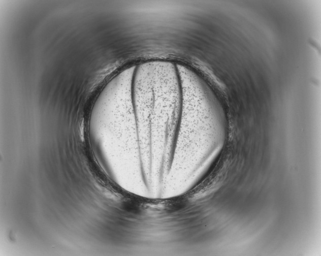 X0000094950068200712271707