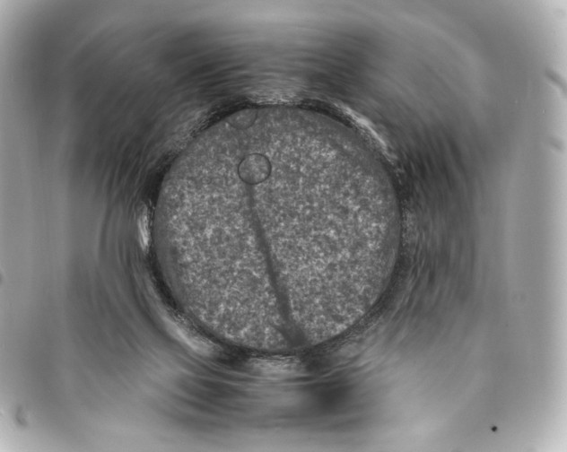 X0000094950069200712271707