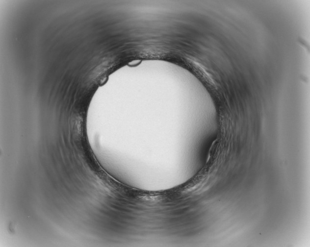 X0000094950071200712271707