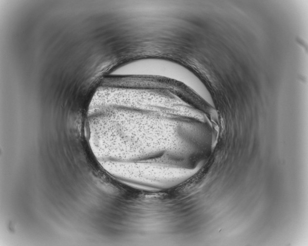 X0000094950072200712271707