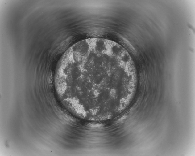 X0000094950073200712271707