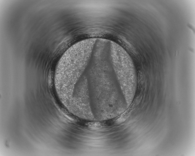 X0000094950074200712271707