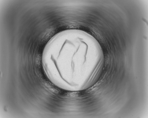 X0000094950078200712271707