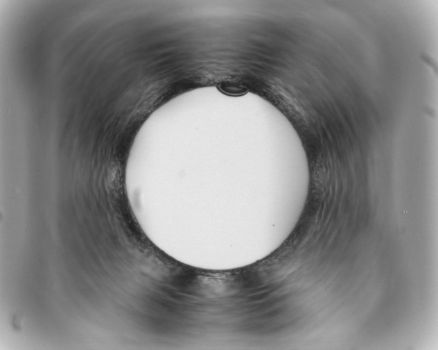 X0000094950079200712271707