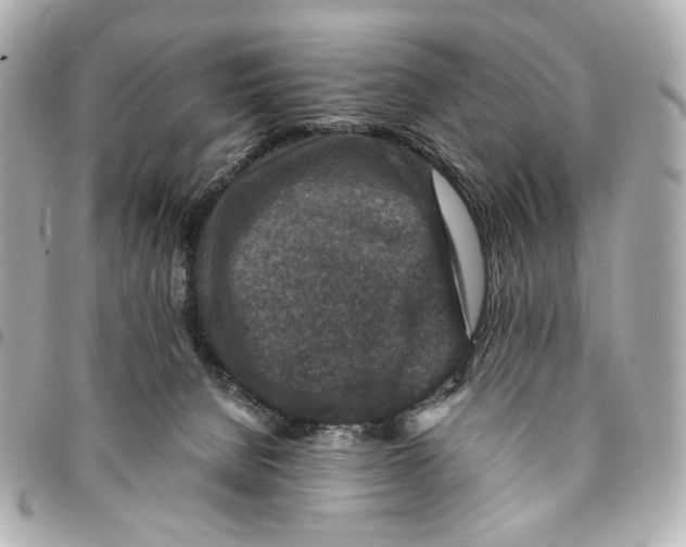 X0000094950080200712271707