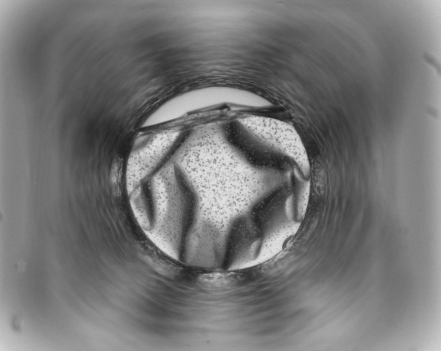 X0000094950082200712271707