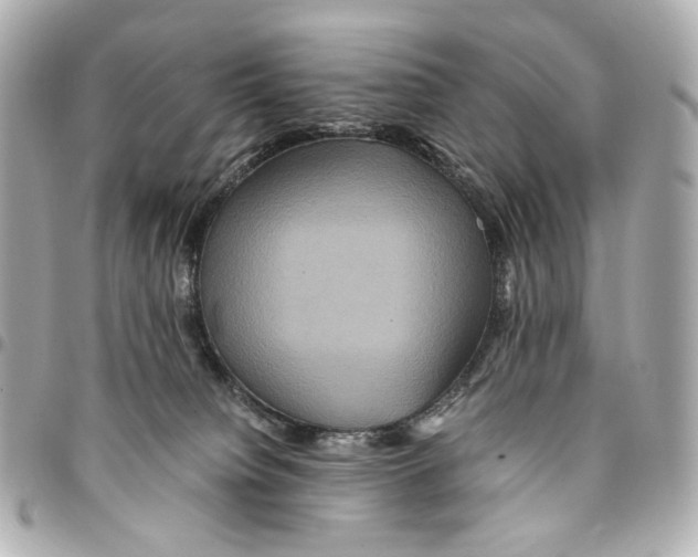 X0000094950084200712271707