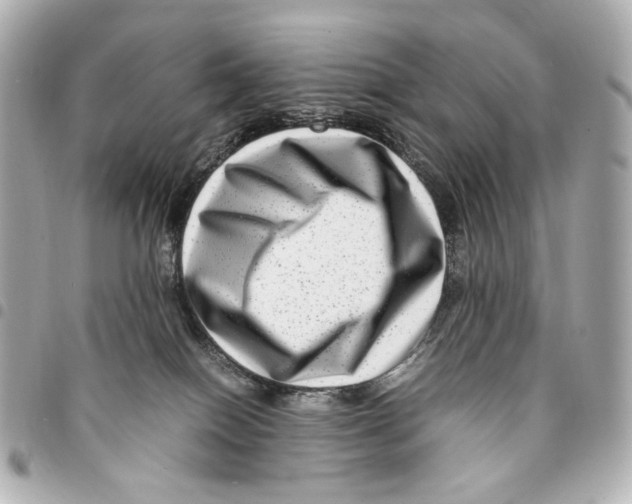 X0000094950086200712271707