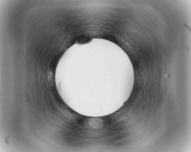 X0000094950087200712271707