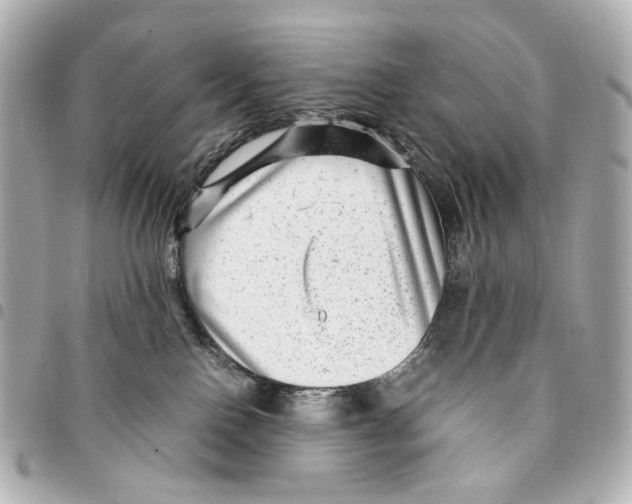 X0000094950090200712271707