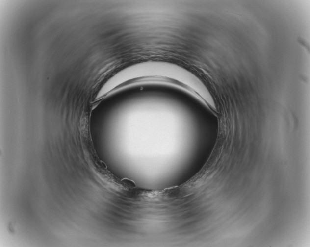 X0000094950092200712271707