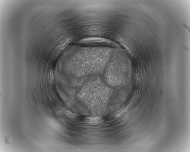 X0000094950093200712271707