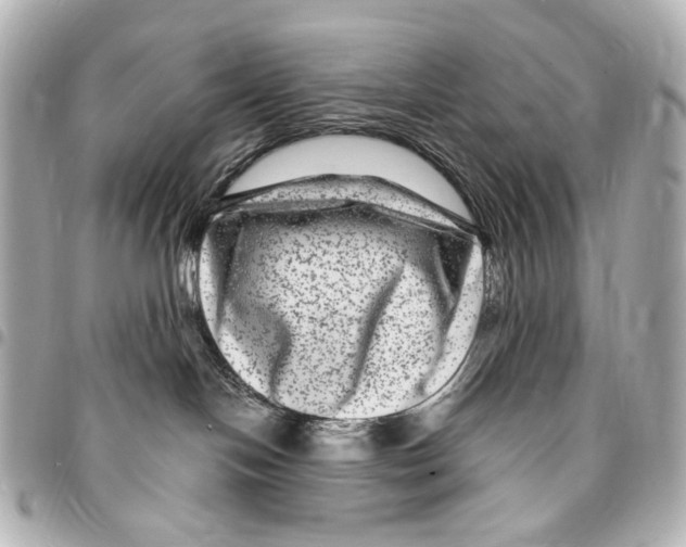 X0000094950094200712271707