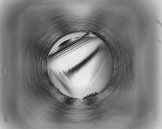 X0000094950096200712271707