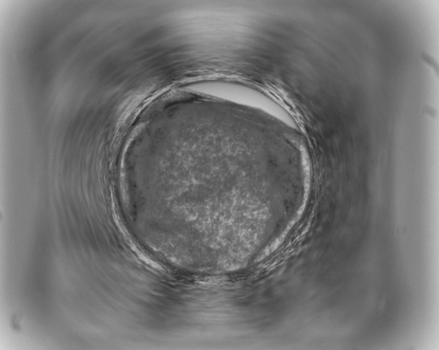 X0000094950097200712271706