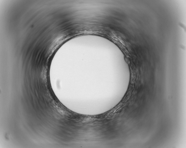 X0000094950098200712271706