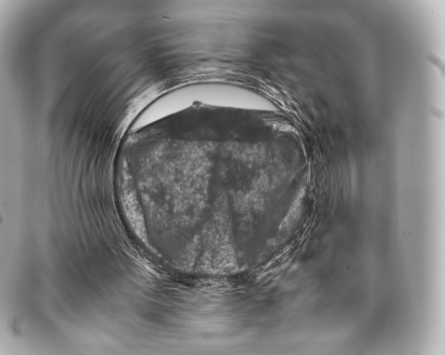 X0000094950099200712271706