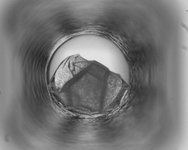 X0000094950100200712271706