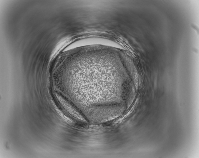 X0000094950101200712271706