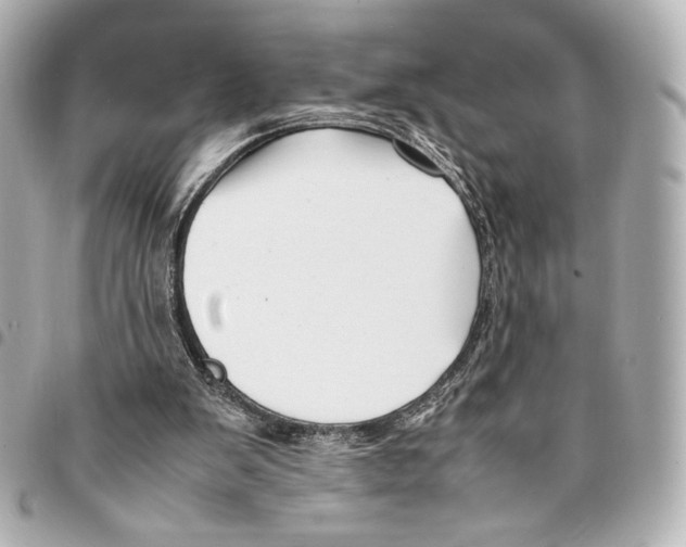 X0000094950103200712271706