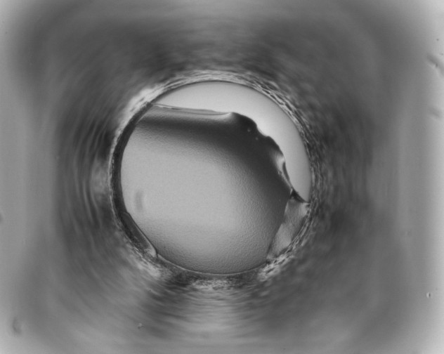 X0000094950104200712271706