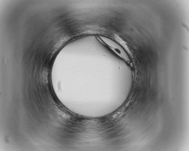 X0000094950106200712271706