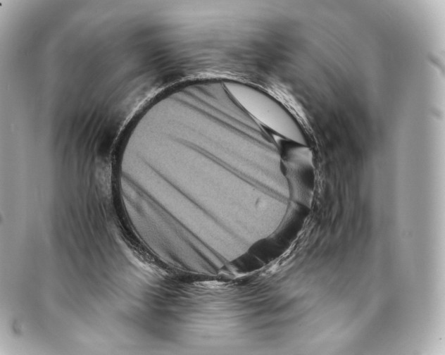 X0000094950108200712271706