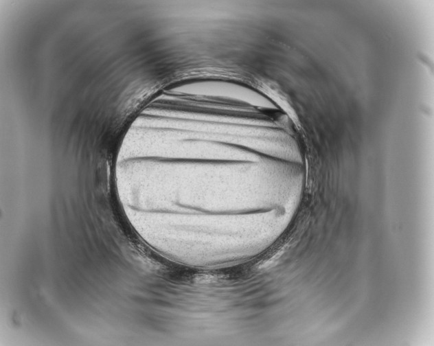 X0000094950109200712271706