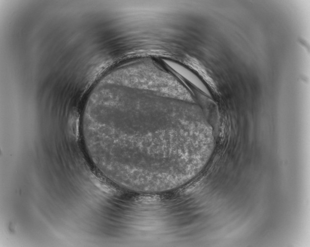 X0000094950110200712271706