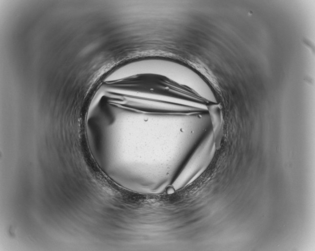 X0000094950111200712271706