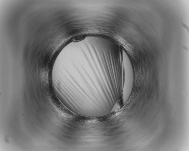 X0000094950112200712271706