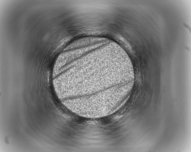 X0000094950115200712271706