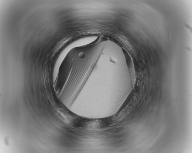 X0000094950116200712271706