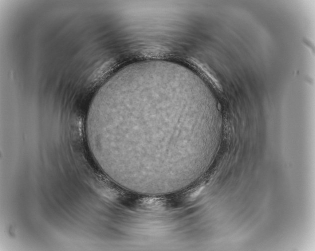 X0000094950117200712271706