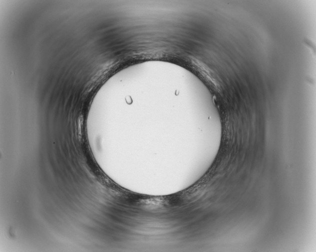 X0000094950118200712271706