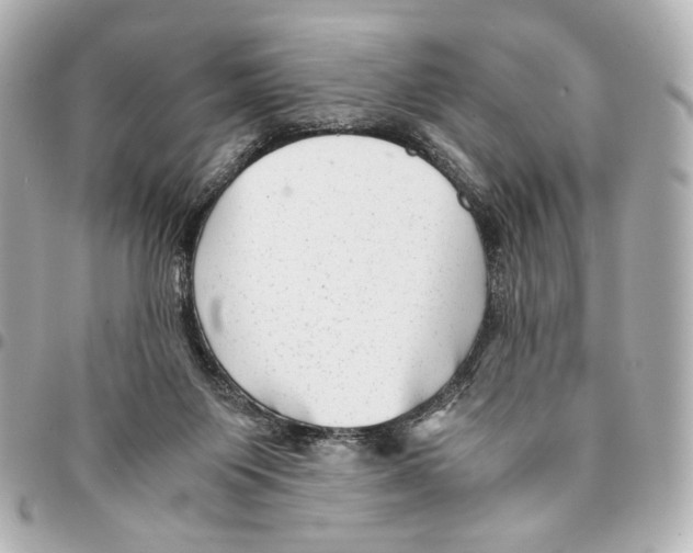 X0000094950119200712271706