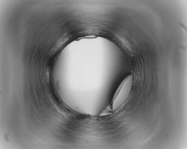 X0000094950120200712271706