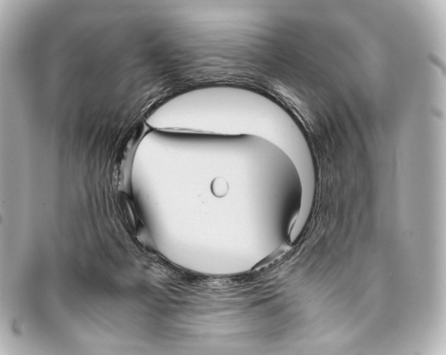 X0000094950121200712271706