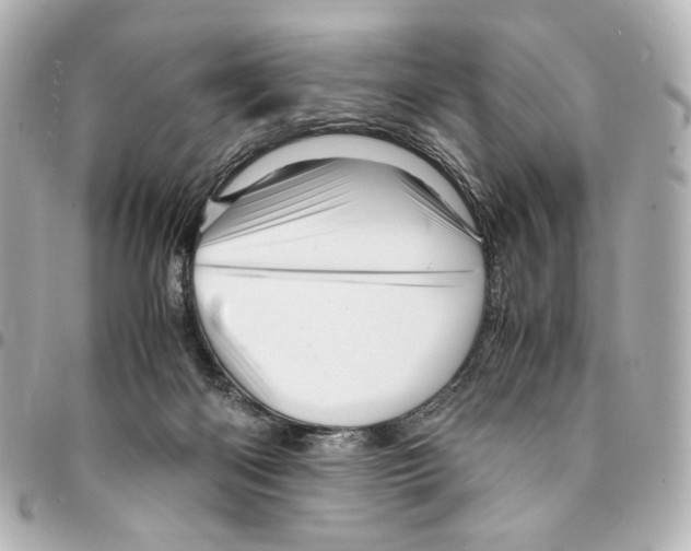 X0000094950122200712271706