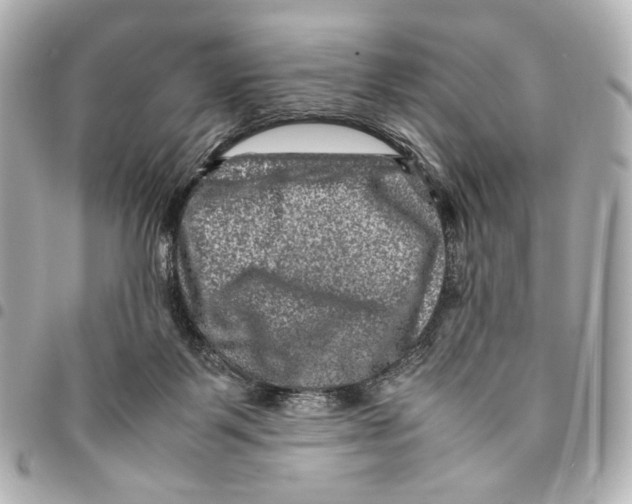 X0000094950123200712271706